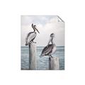 Picture of Observing Pelicans _GroupedProduct_Rectangle_Portrait_Unframed_Print_Only_