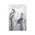 Picture of Observing Pelicans _GroupedProduct_Rectangle_Portrait_Unframed_Print_Only_