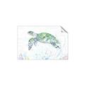 Picture of Sea Turtle II  _GroupedProduct_Rectangle_Landscape_Unframed_Print_Only_