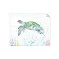 Picture of Sea Turtle II  _GroupedProduct_Rectangle_Landscape_Unframed_Print_Only_
