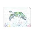 Picture of Sea Turtle II  _GroupedProduct_Rectangle_Landscape_Unframed_Print_Only_