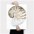 Picture of Sea Shell II _GroupedProduct_Rectangle_Portrait_Canvas_