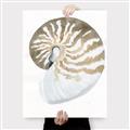 Picture of Sea Shell II _GroupedProduct_Rectangle_Portrait_Canvas_
