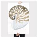 Picture of Sea Shell II _GroupedProduct_Rectangle_Portrait_Canvas_