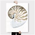 Picture of Sea Shell II _GroupedProduct_Rectangle_Portrait_Canvas_