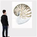 Picture of Sea Shell II _GroupedProduct_Rectangle_Portrait_Canvas_