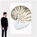 Picture of Sea Shell II _GroupedProduct_Rectangle_Portrait_Canvas_
