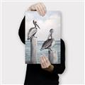 Picture of Observing Pelicans _GroupedProduct_Rectangle_Portrait_Canvas_