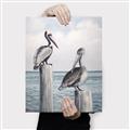 Picture of Observing Pelicans _GroupedProduct_Rectangle_Portrait_Canvas_