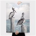 Picture of Observing Pelicans _GroupedProduct_Rectangle_Portrait_Canvas_