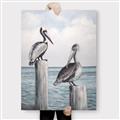 Picture of Observing Pelicans _GroupedProduct_Rectangle_Portrait_Canvas_