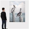 Picture of Observing Pelicans _GroupedProduct_Rectangle_Portrait_Canvas_