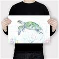 Picture of Sea Turtle II  _GroupedProduct_Rectangle_Landscape_Canvas_