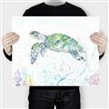 Picture of Sea Turtle II  _GroupedProduct_Rectangle_Landscape_Canvas_