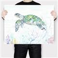 Picture of Sea Turtle II  _GroupedProduct_Rectangle_Landscape_Canvas_