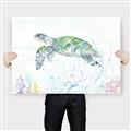 Picture of Sea Turtle II  _GroupedProduct_Rectangle_Landscape_Canvas_