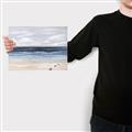 Picture of Turtle on the Shore _GroupedProduct_Rectangle_Landscape_Canvas_