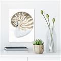 Picture of Sea Shell II _GroupedProduct_Rectangle_Portrait_Canvas_
