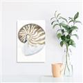 Picture of Sea Shell II _GroupedProduct_Rectangle_Portrait_Canvas_