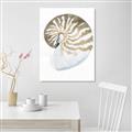 Picture of Sea Shell II _GroupedProduct_Rectangle_Portrait_Canvas_