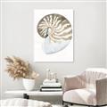 Picture of Sea Shell II _GroupedProduct_Rectangle_Portrait_Canvas_