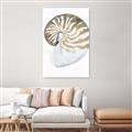 Picture of Sea Shell II _GroupedProduct_Rectangle_Portrait_Canvas_