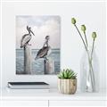Picture of Observing Pelicans _GroupedProduct_Rectangle_Portrait_Canvas_