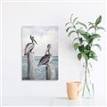 Picture of Observing Pelicans _GroupedProduct_Rectangle_Portrait_Canvas_