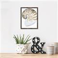 Picture of Sea Shell II _GroupedProduct_Rectangle_Portrait_Canvas_Framed_