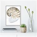 Picture of Sea Shell II _GroupedProduct_Rectangle_Portrait_Canvas_Framed_
