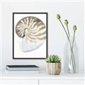 Picture of Sea Shell II _GroupedProduct_Rectangle_Portrait_Canvas_Framed_