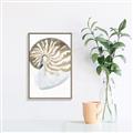 Picture of Sea Shell II _GroupedProduct_Rectangle_Portrait_Canvas_Framed_