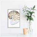 Picture of Sea Shell II _GroupedProduct_Rectangle_Portrait_Canvas_Framed_
