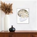 Picture of Sea Shell II _GroupedProduct_Rectangle_Portrait_Canvas_Framed_