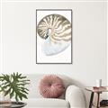 Picture of Sea Shell II _GroupedProduct_Rectangle_Portrait_Canvas_Framed_