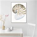 Picture of Sea Shell II _GroupedProduct_Rectangle_Portrait_Canvas_Framed_