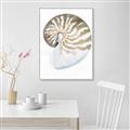 Picture of Sea Shell II _GroupedProduct_Rectangle_Portrait_Canvas_Framed_