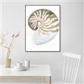 Picture of Sea Shell II _GroupedProduct_Rectangle_Portrait_Canvas_Framed_