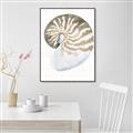 Picture of Sea Shell II _GroupedProduct_Rectangle_Portrait_Canvas_Framed_