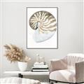 Picture of Sea Shell II _GroupedProduct_Rectangle_Portrait_Canvas_Framed_