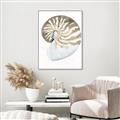 Picture of Sea Shell II _GroupedProduct_Rectangle_Portrait_Canvas_Framed_