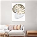 Picture of Sea Shell II _GroupedProduct_Rectangle_Portrait_Canvas_Framed_