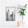 Picture of Observing Pelicans _GroupedProduct_Rectangle_Portrait_Canvas_Framed_