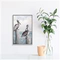 Picture of Observing Pelicans _GroupedProduct_Rectangle_Portrait_Canvas_Framed_