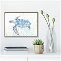 Picture of Sea Turtle I  _GroupedProduct_Rectangle_Landscape_Canvas_Framed_