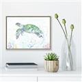 Picture of Sea Turtle II  _GroupedProduct_Rectangle_Landscape_Canvas_Framed_