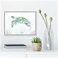 Picture of Sea Turtle II  _GroupedProduct_Rectangle_Landscape_Canvas_Framed_