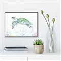 Picture of Sea Turtle II  _GroupedProduct_Rectangle_Landscape_Canvas_Framed_