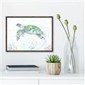 Picture of Sea Turtle II  _GroupedProduct_Rectangle_Landscape_Canvas_Framed_