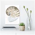Picture of Sea Shell II _GroupedProduct_Rectangle_Portrait_Unframed_Print_Only_